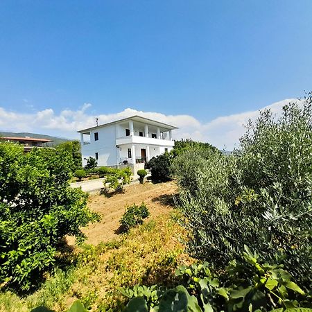 Villa Besart Berati Exterior foto
