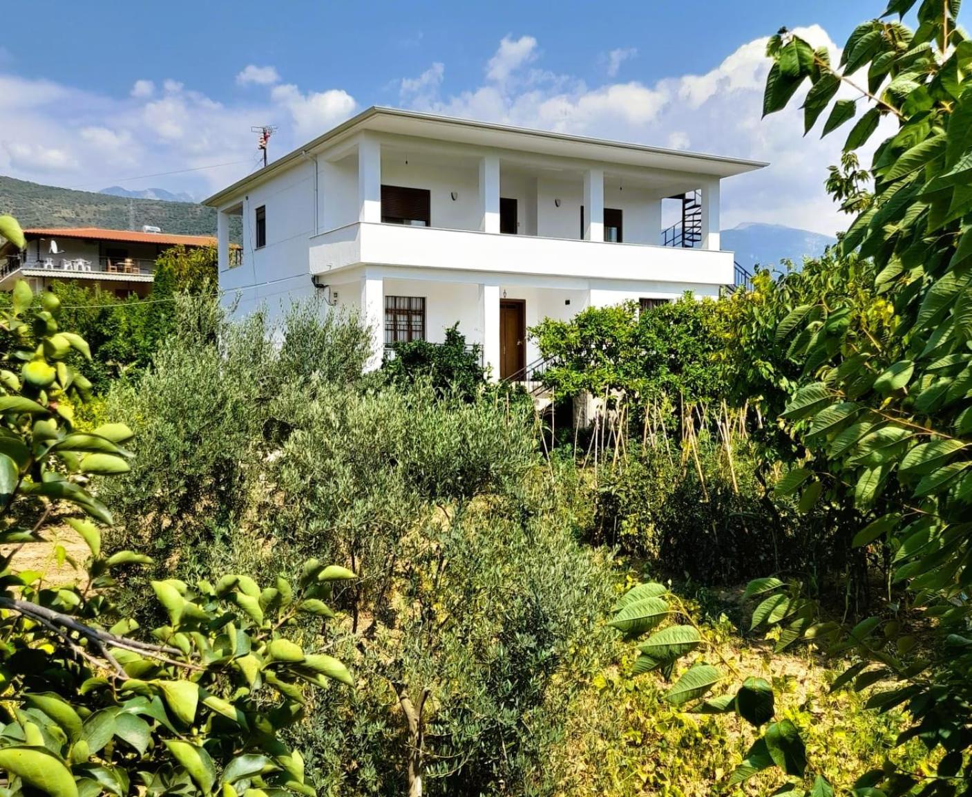 Villa Besart Berati Exterior foto